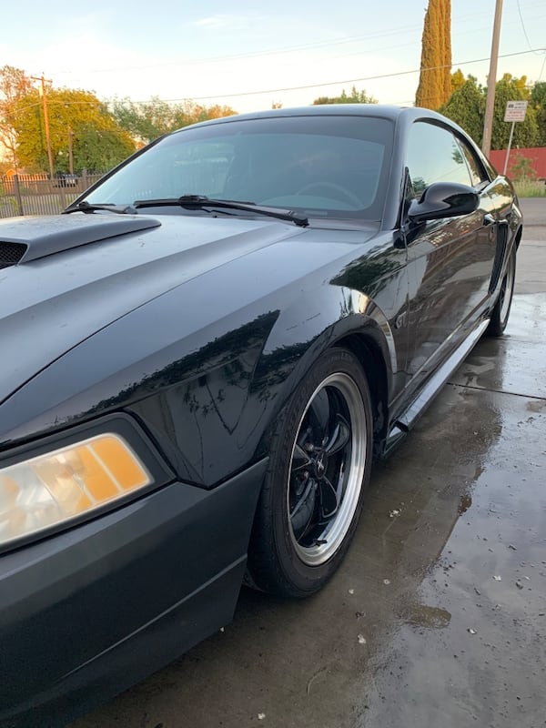 1999 New Edge Ford Mustang Manual Transmission for sale - Seat Time Cars