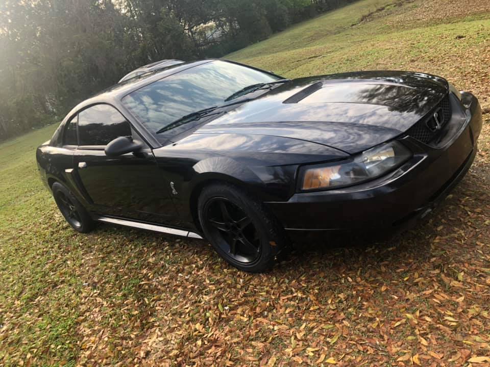 2001 V8 New Edge Ford Mustang Manual Transmission for sale - Seat Time Cars